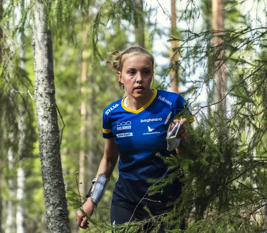 Hanna Lundberg