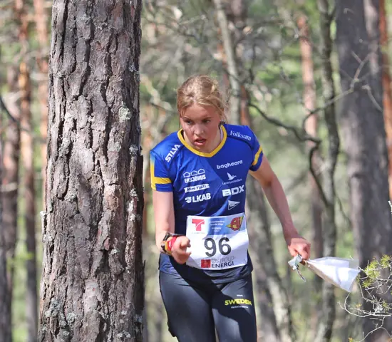 Hanna Lundberg springer mellan tallarna under världscupen i Östfold våren 2023.