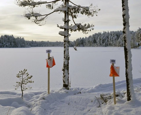 Kontroll i skidorientering vid en sjö