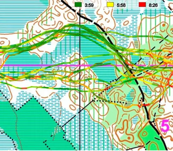 Tufft, grönt och diffust – här laddar landslaget i VM-terrängen