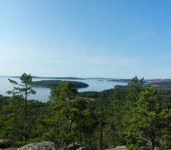 Utsikt mot havet från Ögeltjärnsberget, Örnsköldsvik
