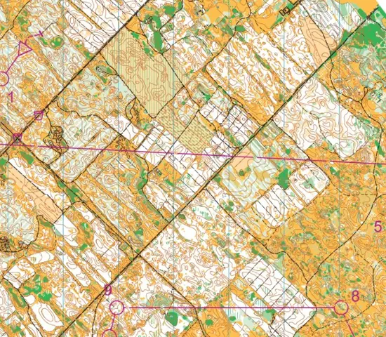 Bra prestationer av Elitmiljö Stockholm vid sommarens olika mästerskap. Nu stundar VM i Lettland