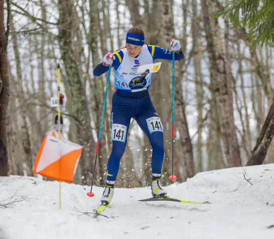 Magdalena Olsson är totalvinnare av världscupen i skidorientering 2024. Här vid en kontroll under sprinten vid världscupavslutningen i Estland.