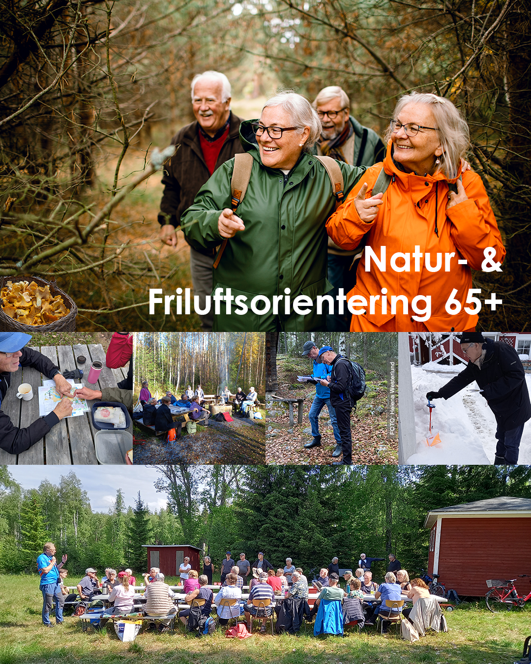 Klubbpresentation 65+