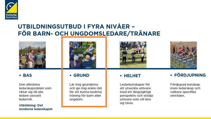 Framtida tränarutbildningsutbud alla nivåer - grundnivån markerad